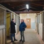 Zentile: ecco la fotogallery di Pietro Tonnicodi