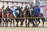 Palio 17 agosto 2022: la terza fotogallery di Antonio Fraioli 