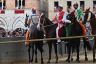 Palio 17 agosto 2022: la terza fotogallery di Antonio Fraioli 