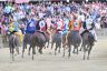 Palio 17 agosto 2022: la terza fotogallery di Antonio Fraioli 