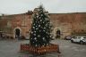 Ecco le foto di tutti gli alberi di Natale delle 17 contrade