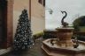 Ecco le foto di tutti gli alberi di Natale delle 17 contrade