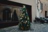 Ecco le foto di tutti gli alberi di Natale delle 17 contrade