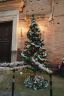 Ecco le foto di tutti gli alberi di Natale delle 17 contrade