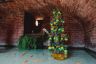 Ecco le foto di tutti gli alberi di Natale delle 17 contrade