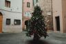 Ecco le foto di tutti gli alberi di Natale delle 17 contrade