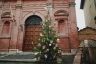 Ecco le foto di tutti gli alberi di Natale delle 17 contrade