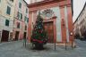 Ecco le foto di tutti gli alberi di Natale delle 17 contrade