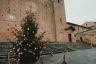 Ecco le foto di tutti gli alberi di Natale delle 17 contrade