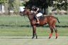 La gallery del Campionato Italiano di Polo