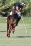 La gallery del Campionato Italiano di Polo