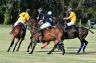 La gallery del Campionato Italiano di Polo