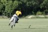 La gallery del Campionato Italiano di Polo