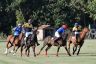 La gallery del Campionato Italiano di Polo