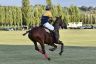 La gallery del Campionato Italiano di Polo