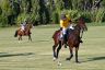 La gallery del Campionato Italiano di Polo