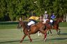 La gallery del Campionato Italiano di Polo