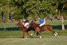 La gallery del Campionato Italiano di Polo