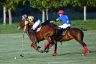 La gallery del Campionato Italiano di Polo