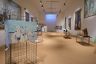 La fotogallery dell'inaugurazione della mostra Cavalli d'Autore