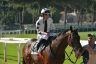 Corse regolari: Dario Vargiu vince il Derby italiano di galoppo
