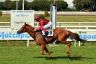 La fotogallery del Derby di Galoppo 2019