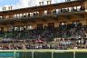 La fotogallery del Derby di Galoppo 2019