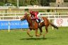 La fotogallery del Derby di Galoppo 2019