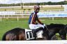 La fotogallery del Derby di Galoppo 2019