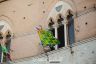Palio 16 agosto 2019: la fotogallery dell'Estrazione delle Contrade