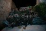 Lupa: la fotogallery della Festa nel rione