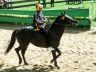 La Storia del Palio di Ferrara