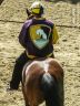 La Storia del Palio di Ferrara