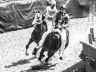 La Storia del Palio di Ferrara