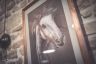 La gallery dell'inaugurazione della mostra 