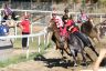 La gallery fotografica delle corse a Fucecchio