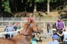 La gallery fotografica delle corse a Fucecchio