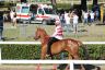La gallery fotografica delle corse a Fucecchio