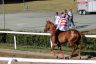 La gallery fotografica delle corse a Fucecchio
