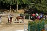 La gallery fotografica delle corse a Fucecchio