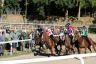 La gallery fotografica delle corse a Fucecchio
