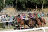 La gallery fotografica delle corse a Fucecchio