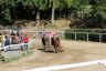 La gallery fotografica delle corse a Fucecchio