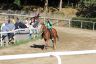 La gallery fotografica delle corse a Fucecchio