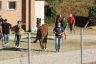La gallery fotografica delle corse a Fucecchio