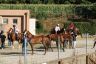 La gallery fotografica delle corse a Fucecchio