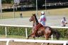 La gallery fotografica delle corse a Fucecchio