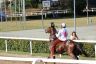 La gallery fotografica delle corse a Fucecchio