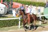 La gallery fotografica delle corse a Fucecchio
