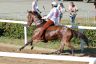 La gallery fotografica delle corse a Fucecchio